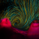 Illustration for article titled The Best Science Visualizations of the Year
